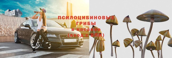 прущие крисы Алзамай