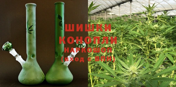 стафф Ельня