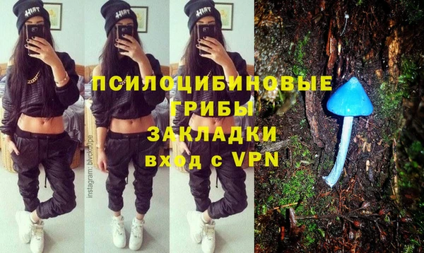 прущие крисы Алзамай