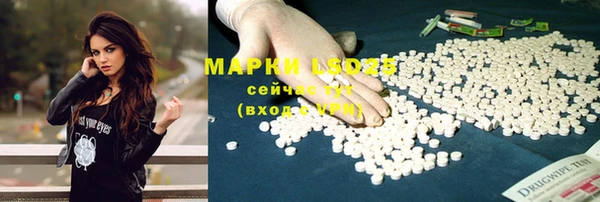 PSILOCYBIN Елизово